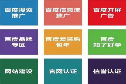 百度竞价广告的投放策略与成功案例分析
